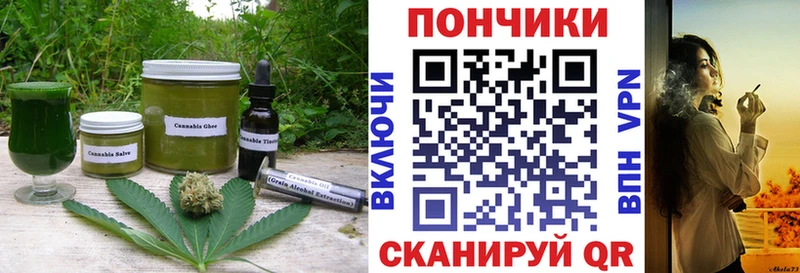 Cannafood конопля  сколько стоит  блэк спрут зеркало  Шилка 