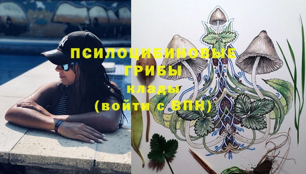 стафф Абдулино