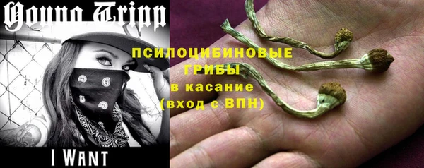 стафф Абдулино