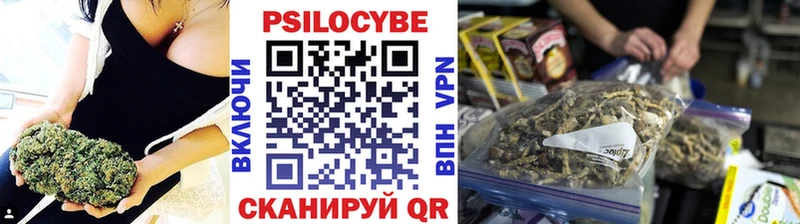 Псилоцибиновые грибы Psilocybe дарнет шоп Шилка
